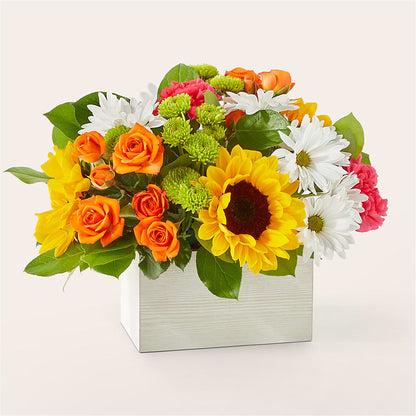 Sun-drenched Blooms Box Bouquet – AMELIA'S FLOWERS, Naples FL