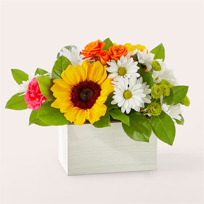 Sun-drenched Blooms Box Bouquet – AMELIA'S FLOWERS, Naples FL