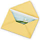 Greeting Card – AMELIA'S FLOWERS, Naples FL