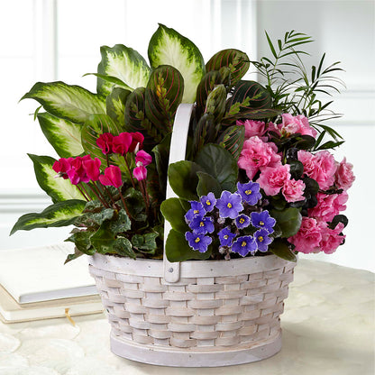 Peaceful Garden Planter – AMELIA'S FLOWERS, Naples FL