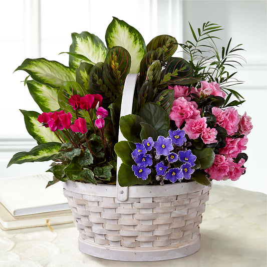 Peaceful Garden Planter – AMELIA'S FLOWERS, Naples FL
