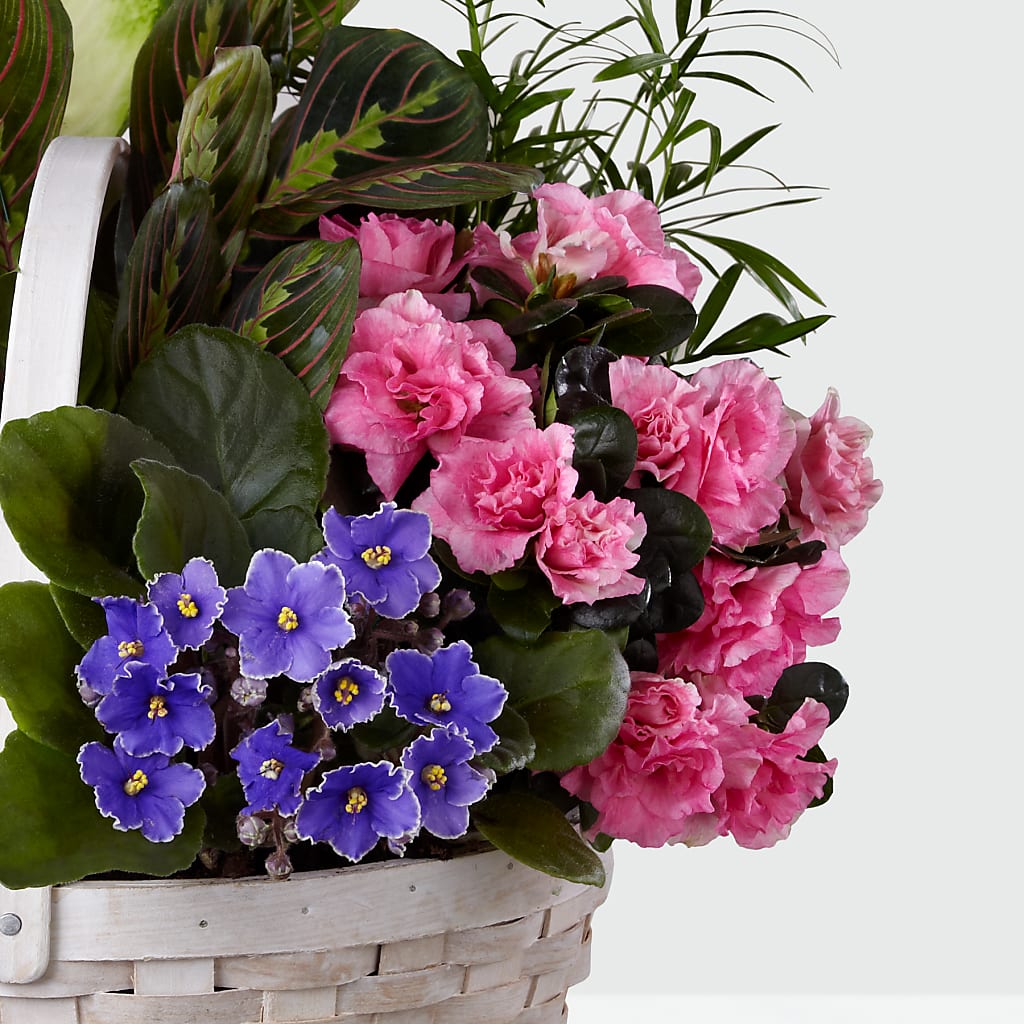 Peaceful Garden Planter – AMELIA'S FLOWERS, Naples FL