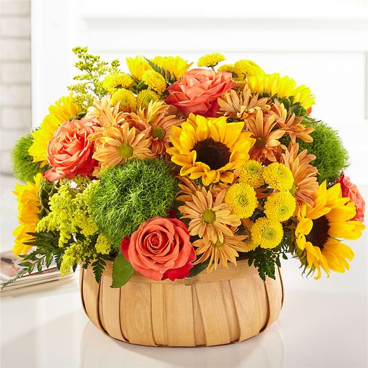 Harvest Sunflower Basket – AMELIA'S FLOWERS, Naples FL