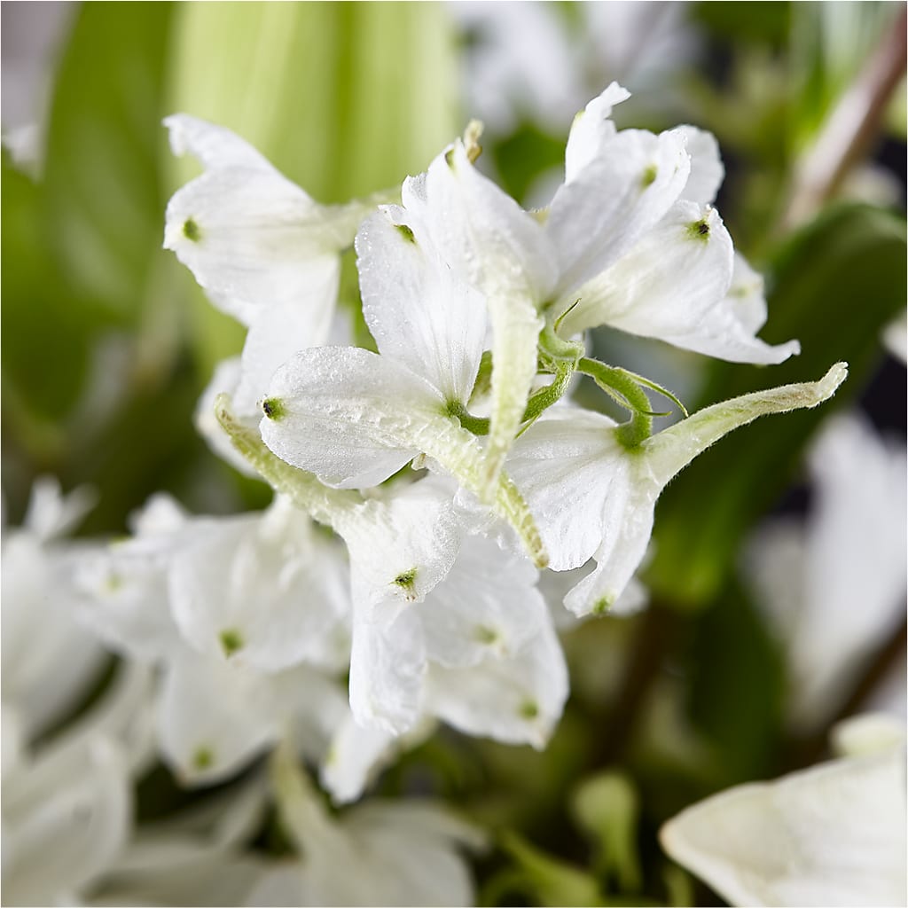Classic Ivory – A Florist Original – AMELIA'S FLOWERS, Naples FL