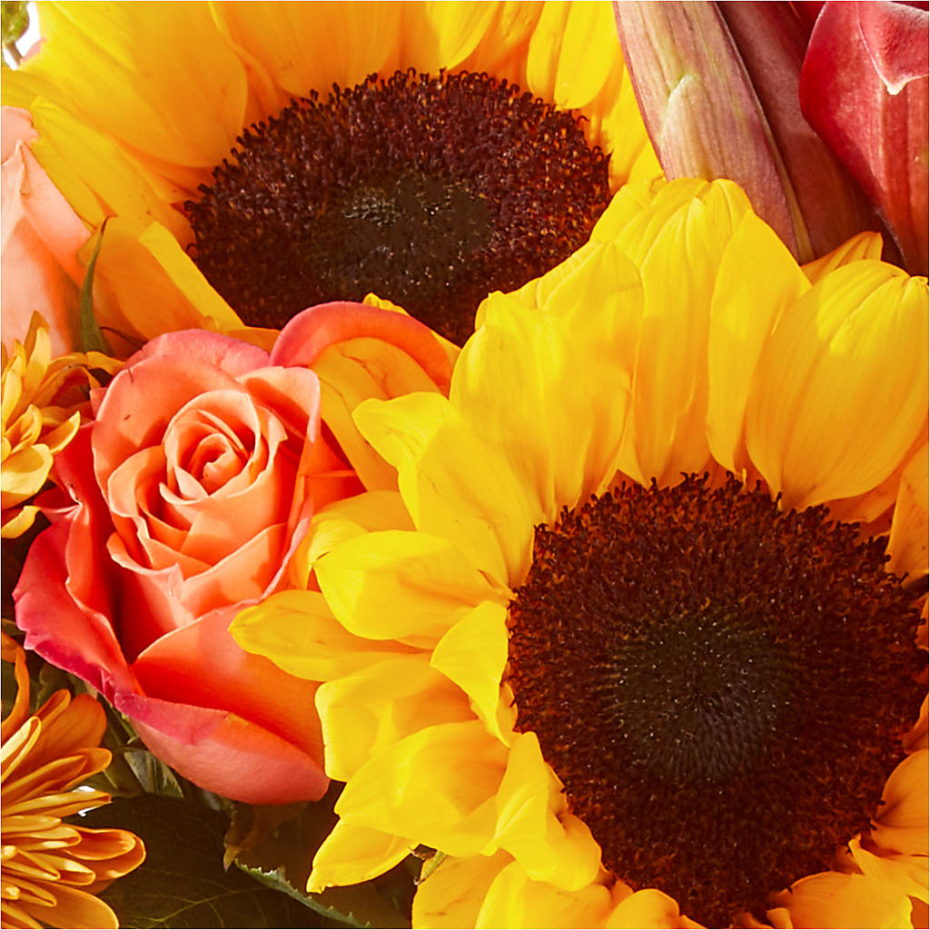 Acorn Lane Bouquet – AMELIA'S FLOWERS, Naples FL
