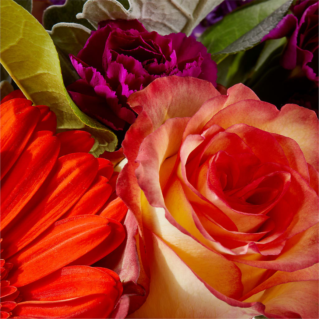 Sangria Bouquet – AMELIA'S FLOWERS, Naples FL