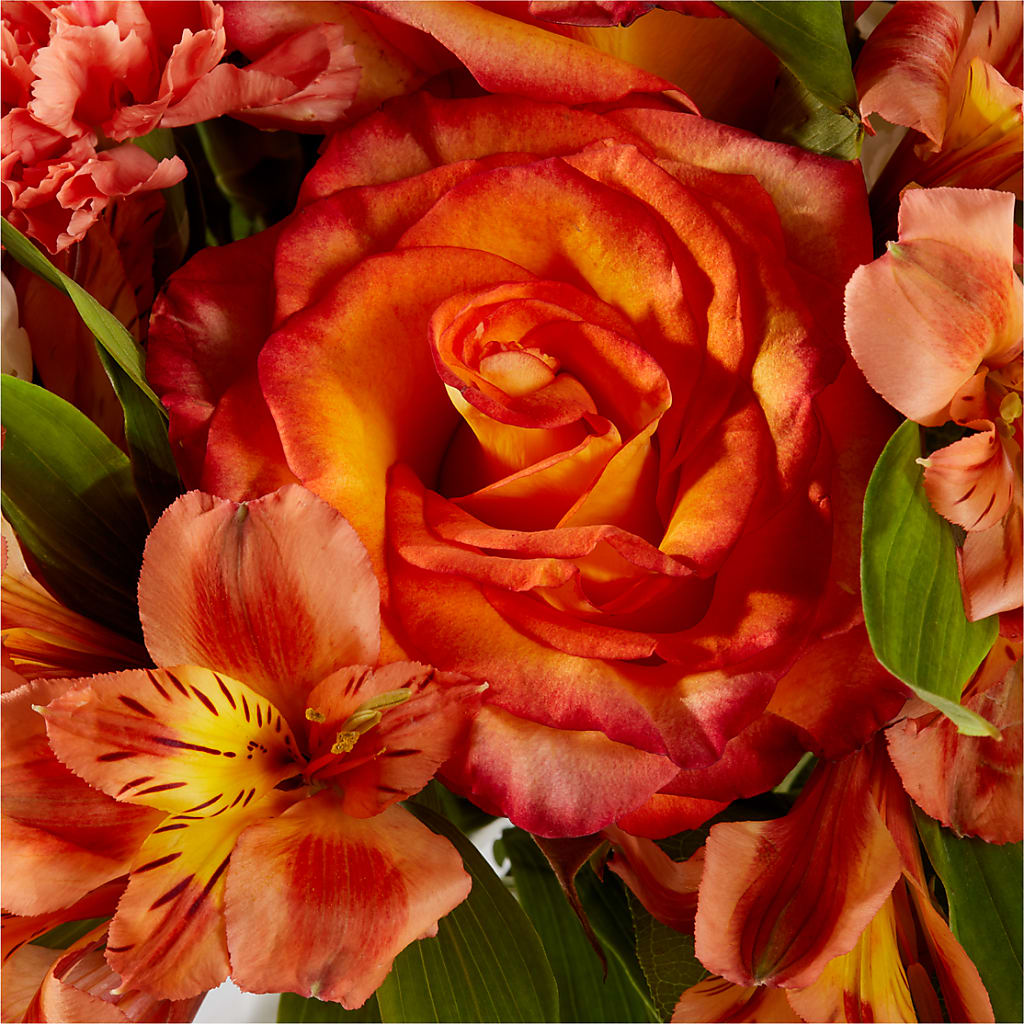 Apricot Glow Bouquet – AMELIA'S FLOWERS, Naples FL