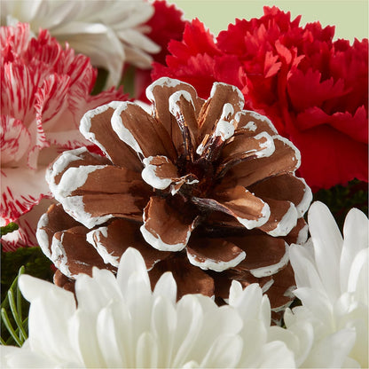 Candy Cane Lane Bouquet – AMELIA'S FLOWERS, Naples FL