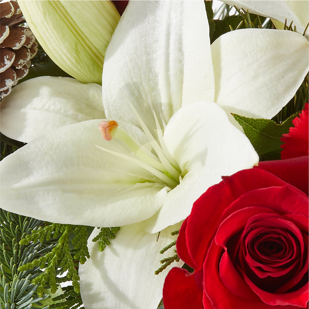 Oh So Jolly Bouquet – AMELIA'S FLOWERS, Naples FL