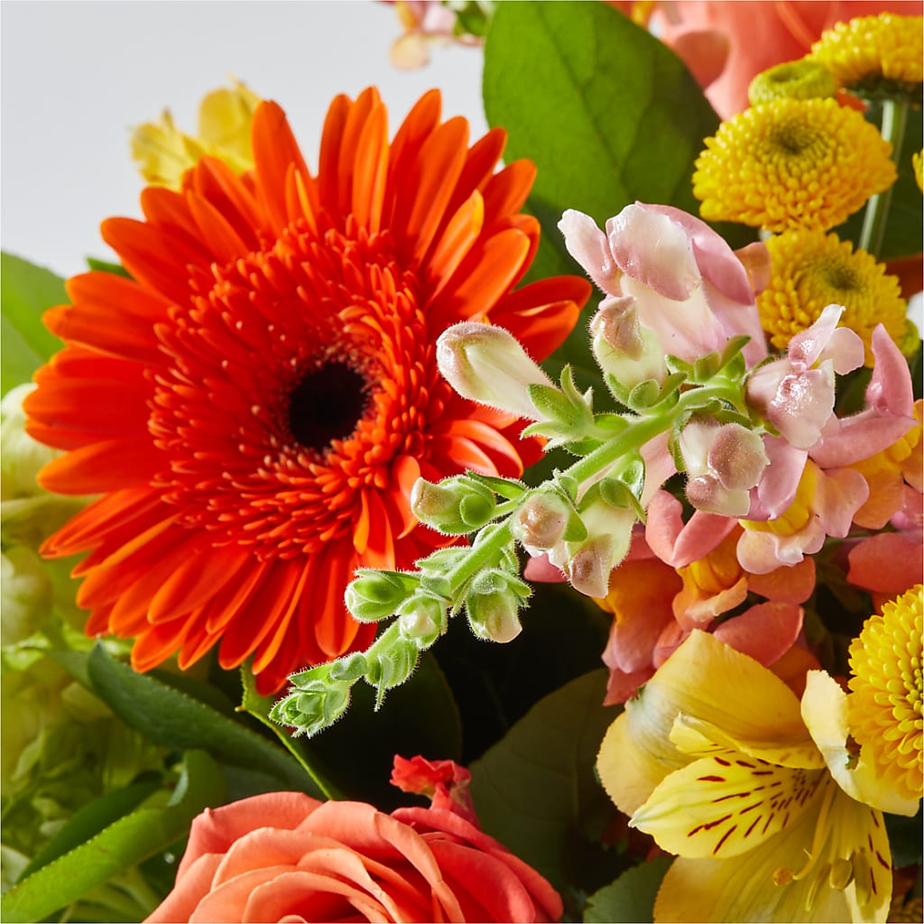 Autumn Sunshine Bouquet – AMELIA'S FLOWERS, Naples FL