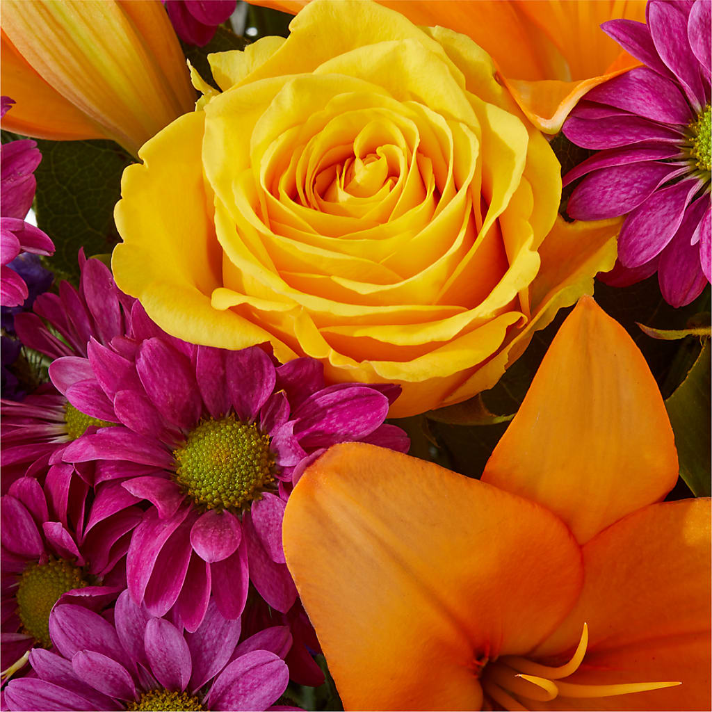 Colorful Visions Bouquet – AMELIA'S FLOWERS, Naples FL