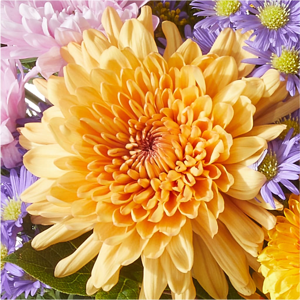 Countryside Bouquet – AMELIA'S FLOWERS, Naples FL
