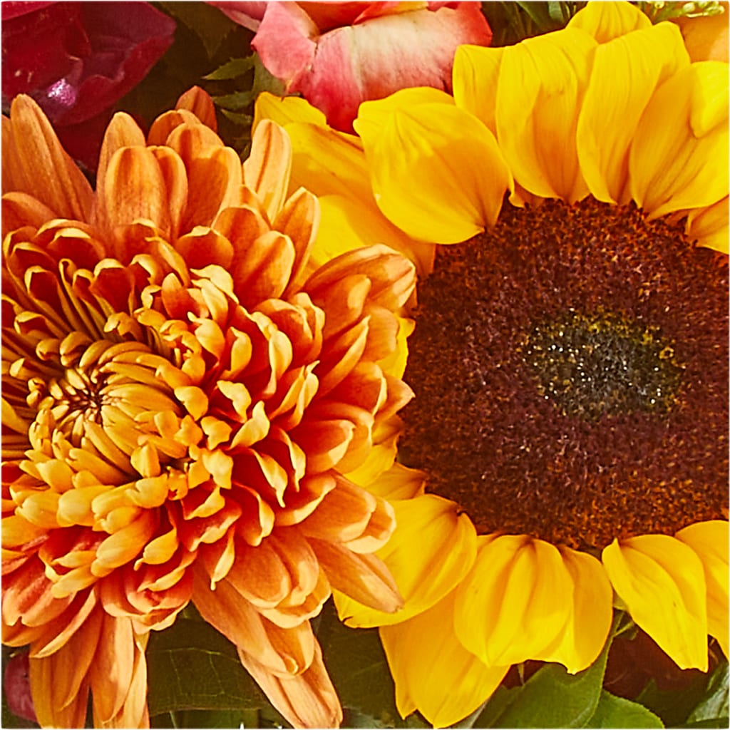 Seasons Change Bouquet – AMELIA'S FLOWERS, Naples FL