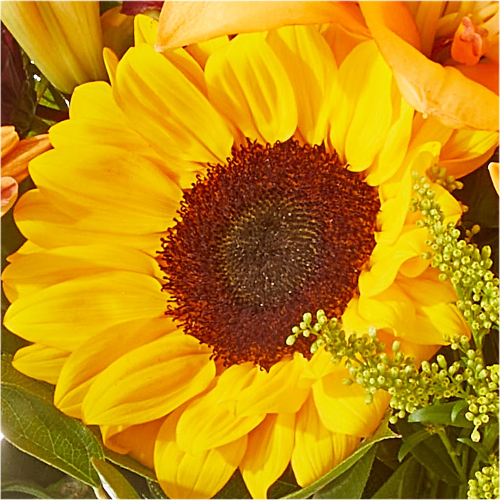 Seasons Change Bouquet – AMELIA'S FLOWERS, Naples FL