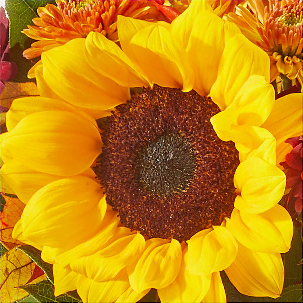 Sunny Side Bouquet – AMELIA'S FLOWERS, Naples FL