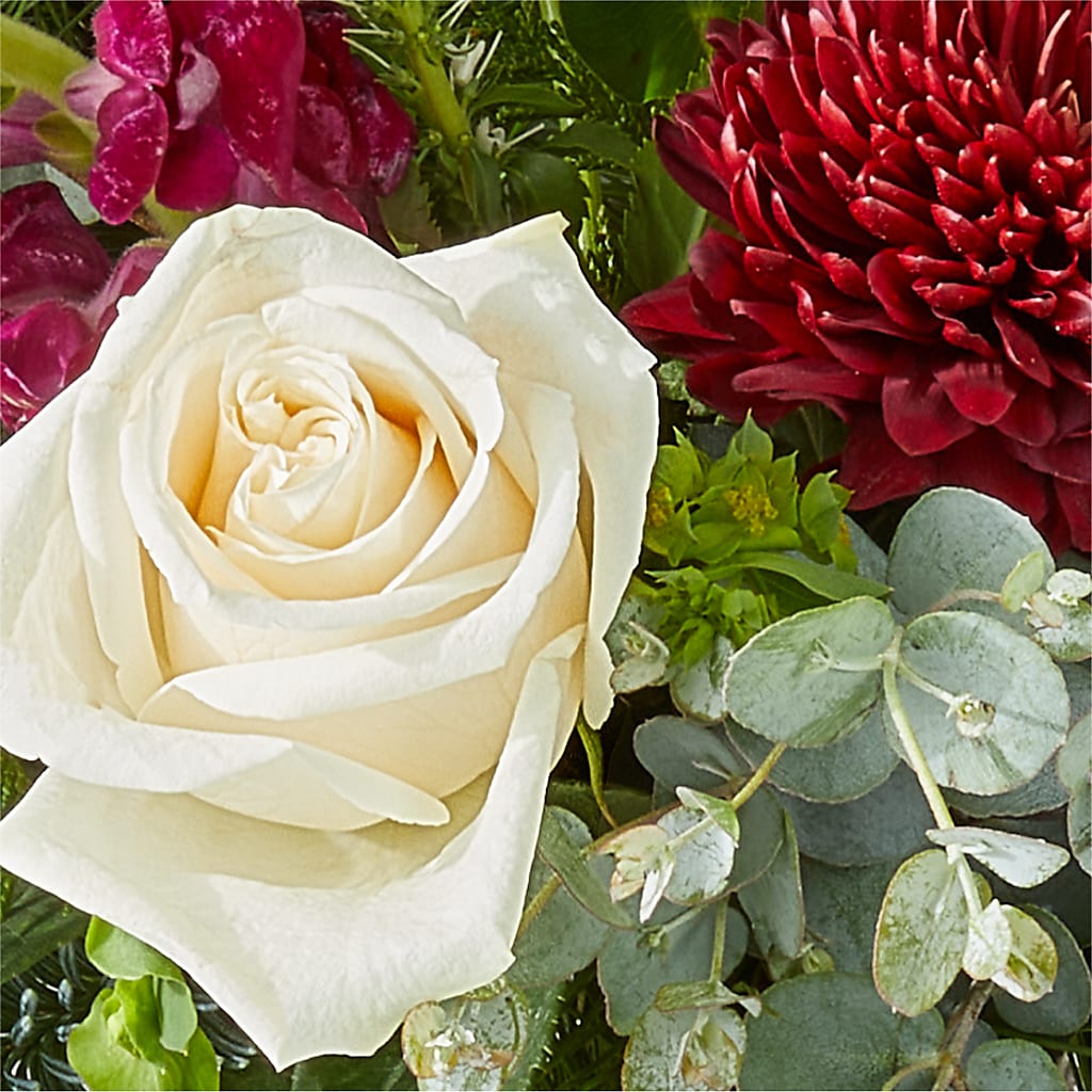 Cranberry Fizz Bouquet – AMELIA'S FLOWERS, Naples FL