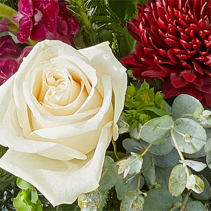 Cranberry Fizz Bouquet – AMELIA'S FLOWERS, Naples FL