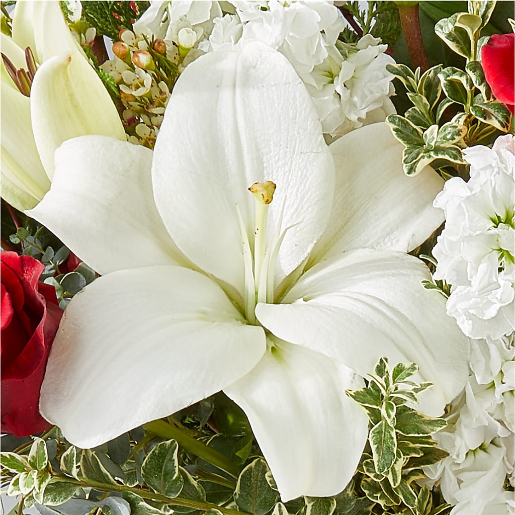 Twinkle Lights Bouquet – AMELIA'S FLOWERS, Naples FL
