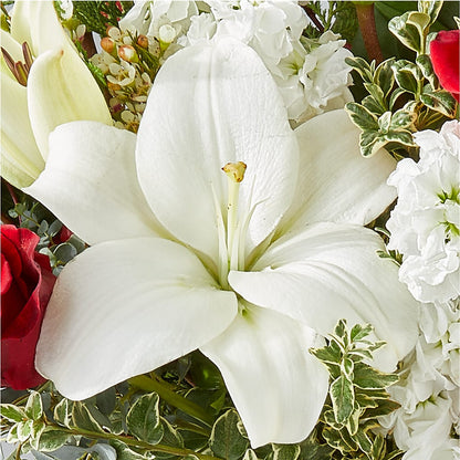 Twinkle Lights Bouquet – AMELIA'S FLOWERS, Naples FL