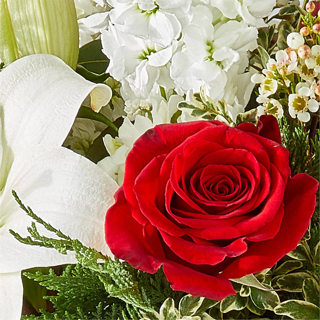 Twinkle Lights Bouquet – AMELIA'S FLOWERS, Naples FL