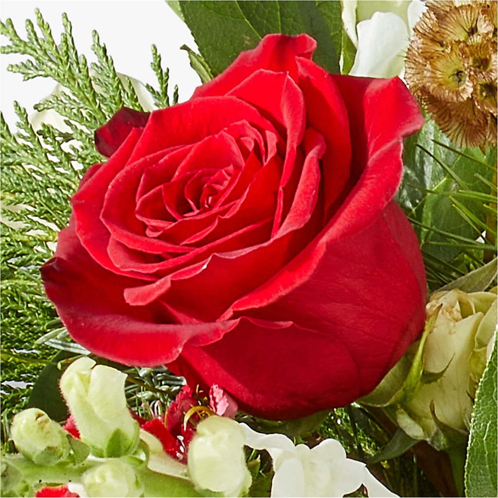 Deck the Halls Bouquet – AMELIA'S FLOWERS, Naples FL