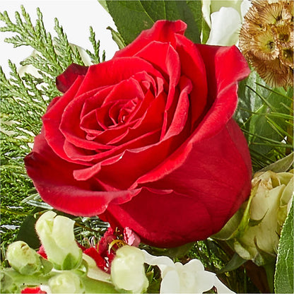 Deck the Halls Bouquet – AMELIA'S FLOWERS, Naples FL