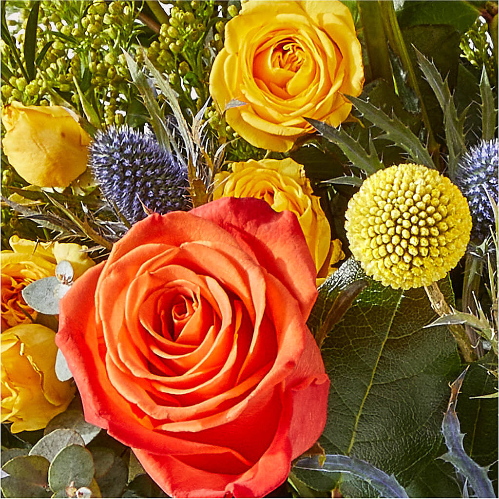 Disco Bouquet – AMELIA'S FLOWERS, Naples FL