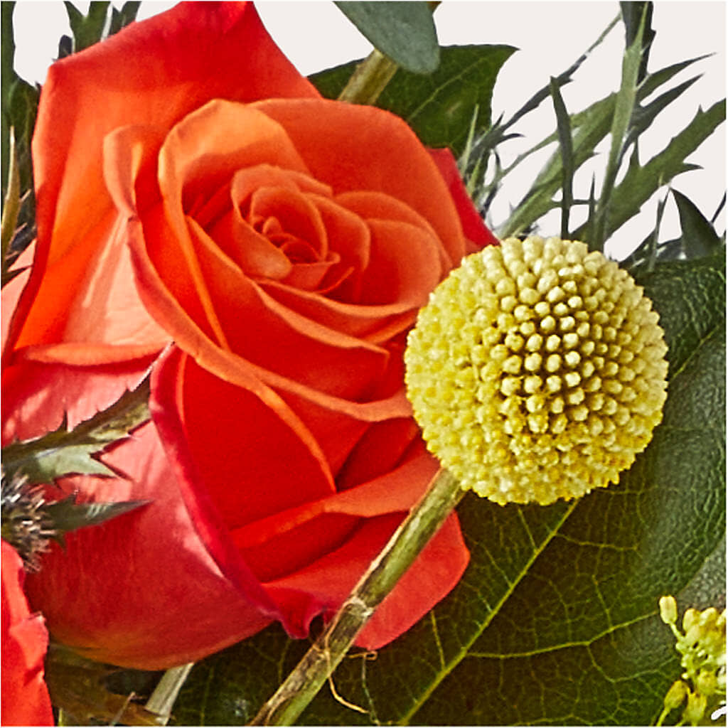 Disco Bouquet – AMELIA'S FLOWERS, Naples FL