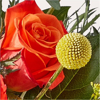 Disco Bouquet – AMELIA'S FLOWERS, Naples FL