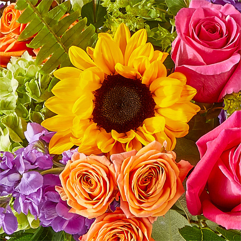 Vibrant Greetings Bouquet – AMELIA'S FLOWERS, Naples FL