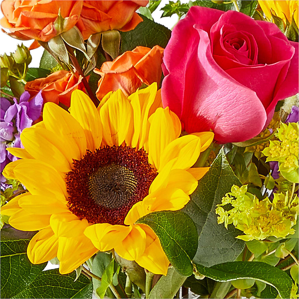 Vibrant Greetings Bouquet – AMELIA'S FLOWERS, Naples FL
