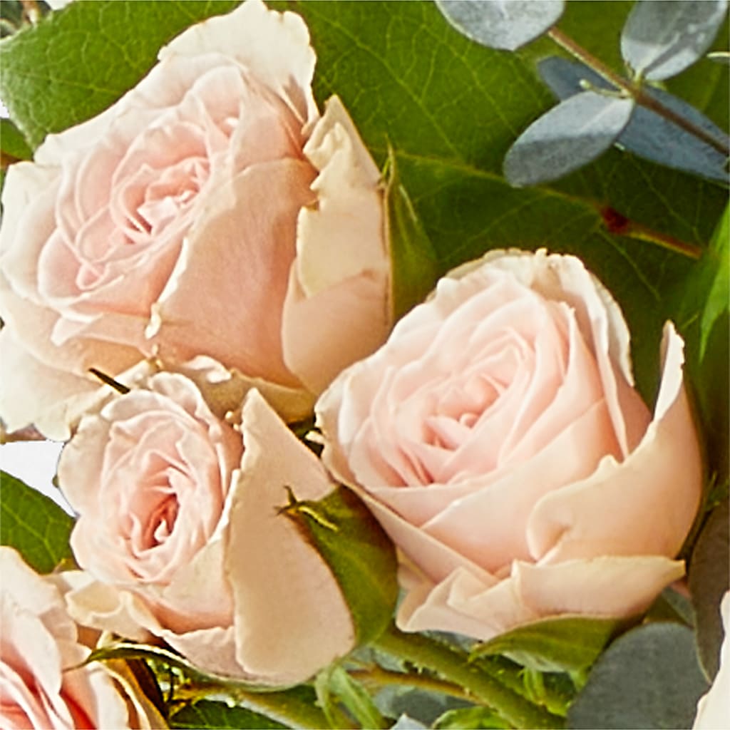 Inspired Bouquet – AMELIA'S FLOWERS, Naples FL