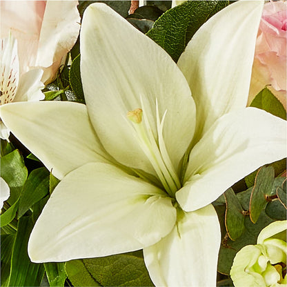 Ballet Slippers Bouquet – AMELIA'S FLOWERS, Naples FL