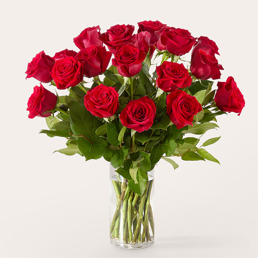 The One Red Rose Bouquet – AMELIA'S FLOWERS, Naples FL
