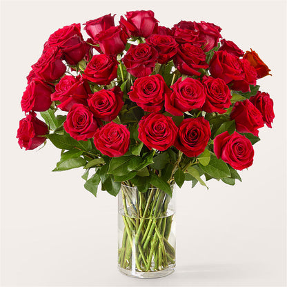 The One Red Rose Bouquet – AMELIA'S FLOWERS, Naples FL