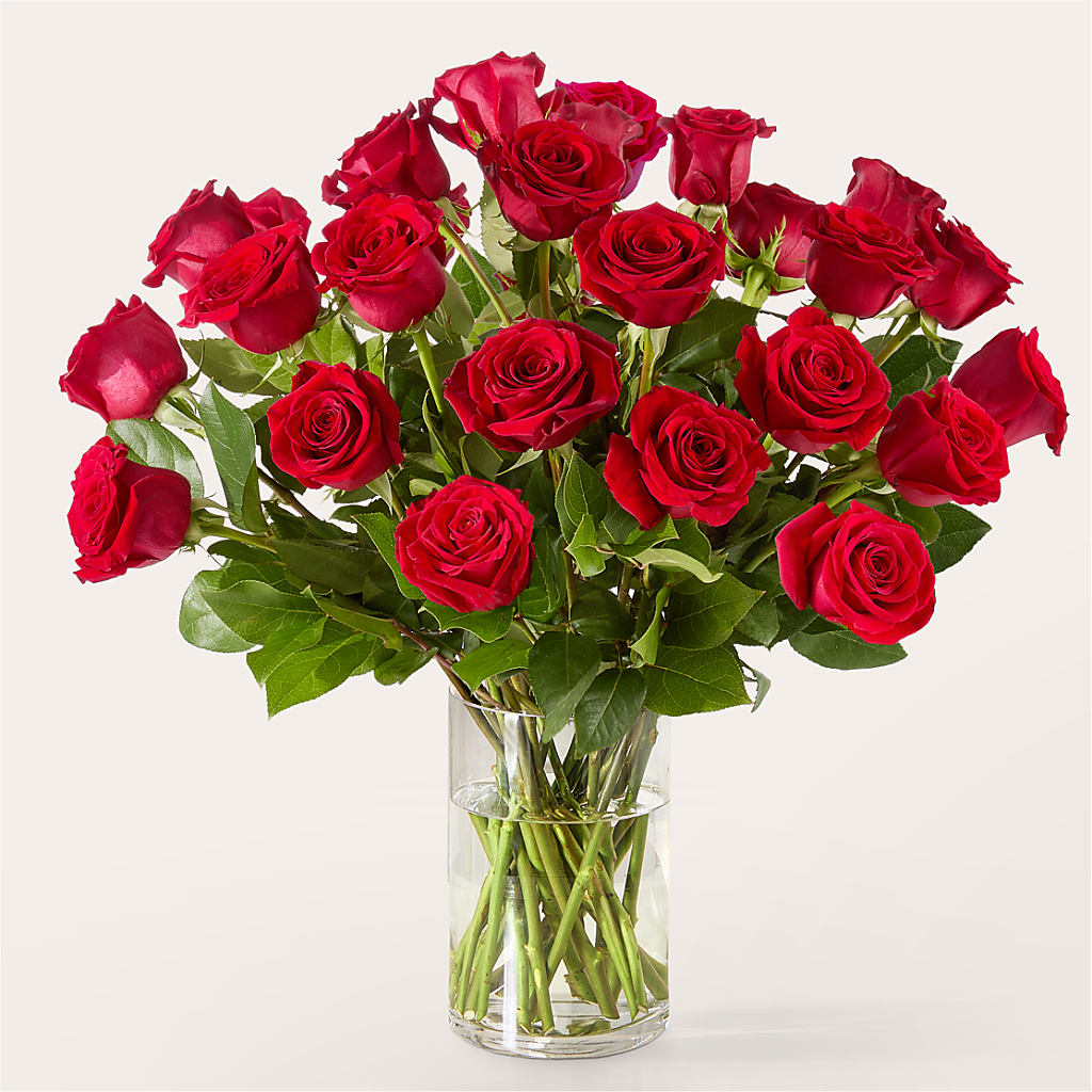 The One Red Rose Bouquet – AMELIA'S FLOWERS, Naples FL