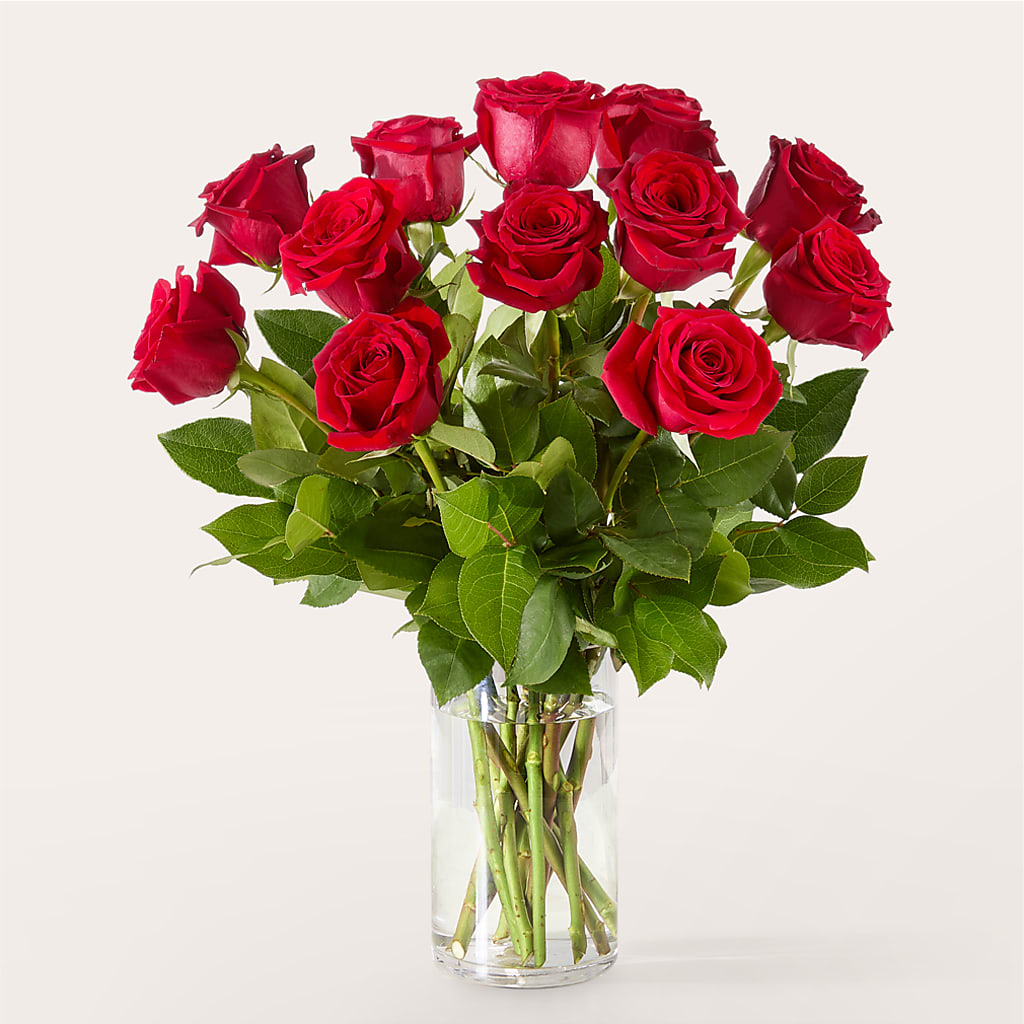 The One Red Rose Bouquet – AMELIA'S FLOWERS, Naples FL