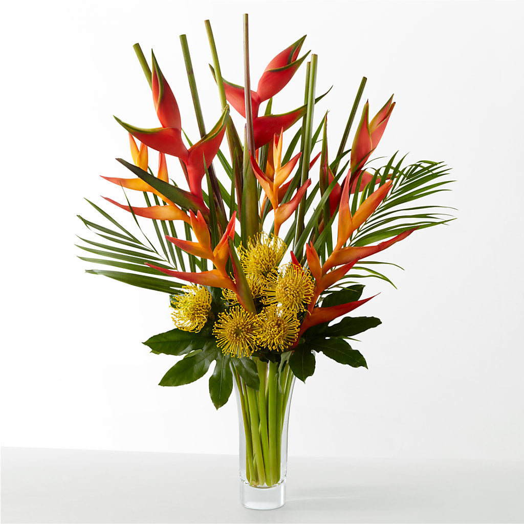 The Drama – AMELIA'S FLOWERS, Naples FL