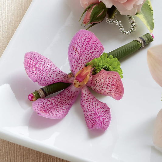 Pink Mokara Boutonniere – AMELIA'S FLOWERS, Naples FL