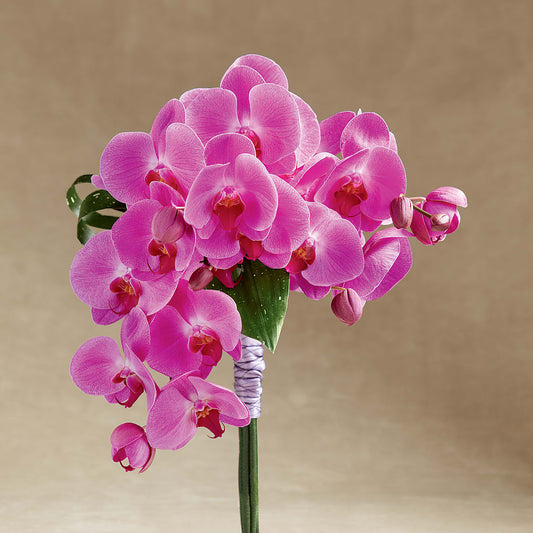 Glorious Bouquet – AMELIA'S FLOWERS, Naples FL