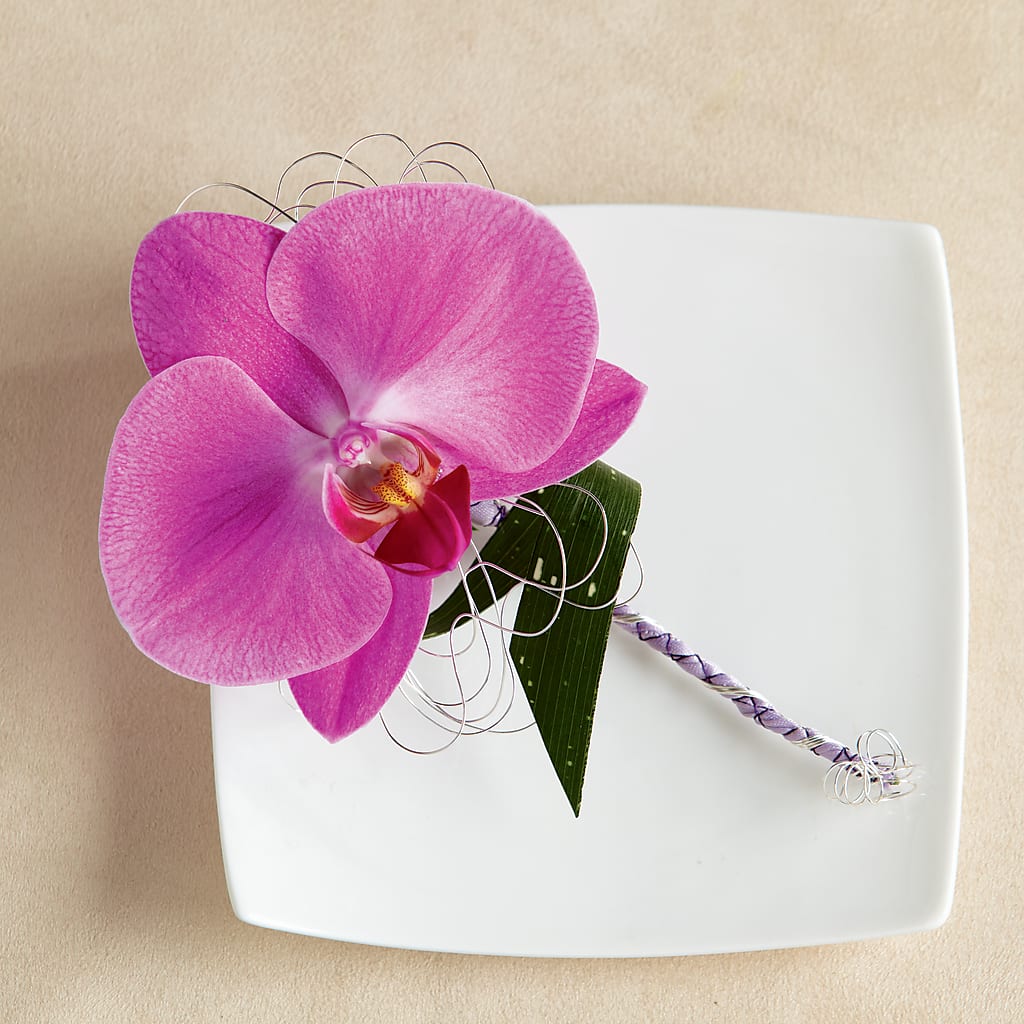 Glorious Boutonniere – AMELIA'S FLOWERS, Naples FL
