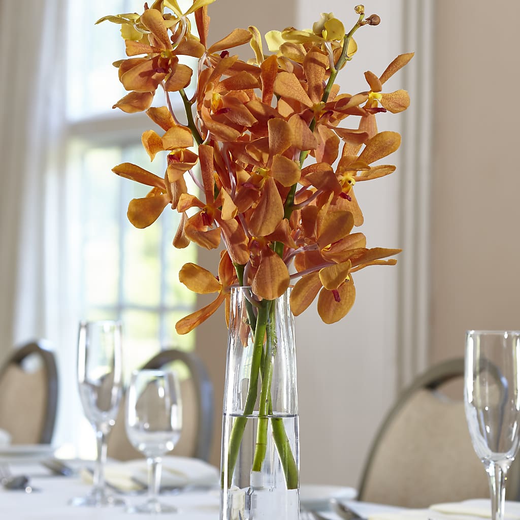 Orange Mokara Bud Vase – AMELIA'S FLOWERS, Naples FL