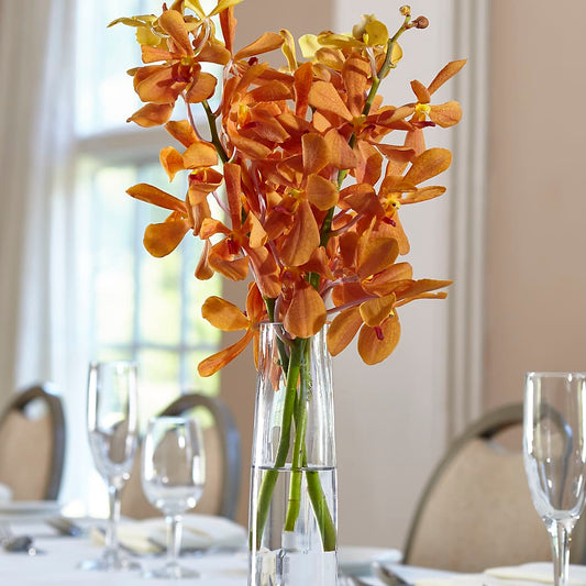 Orange Mokara Bud Vase – AMELIA'S FLOWERS, Naples FL