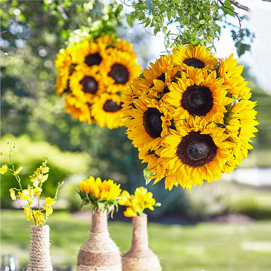 Sublime Garden Hanging Arrangement – AMELIA'S FLOWERS, Naples FL