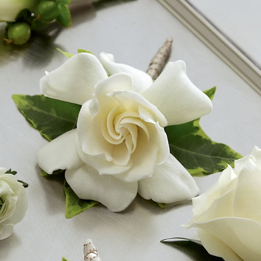 Gardenia Boutonniere – AMELIA'S FLOWERS, Naples FL