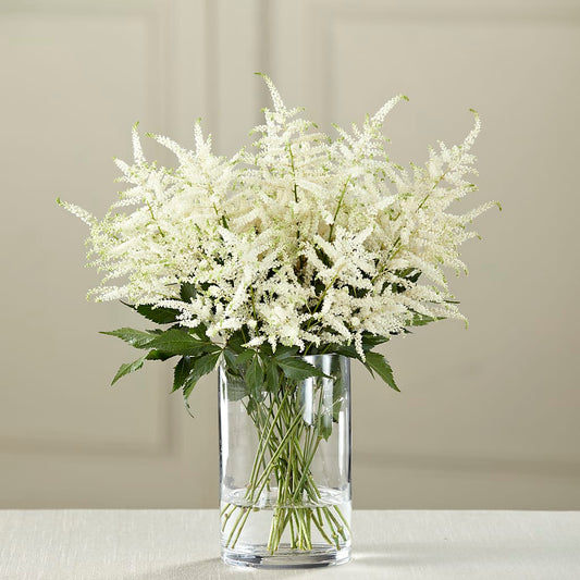 White Astilbe Bouquet – AMELIA'S FLOWERS, Naples FL