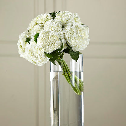 White Hydrangea Hand-Tied Bouquet – AMELIA'S FLOWERS, Naples FL
