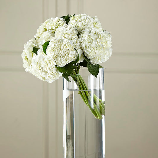 White Hydrangea Hand-Tied Bouquet – AMELIA'S FLOWERS, Naples FL