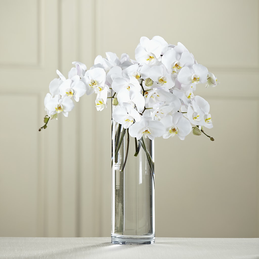 White Phalaenopsis Bouquet – AMELIA'S FLOWERS, Naples FL