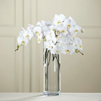 White Phalaenopsis Bouquet – AMELIA'S FLOWERS, Naples FL